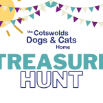 Dursley Festival - Treasure Hunt