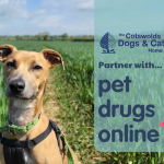 New partnership with Pet Drugs Online