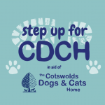 Step up for CDCH!
