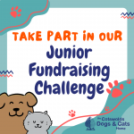CDCH Junior Fundraising Challenge