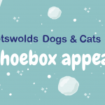 CDCH Shoe Box Appeal 2023