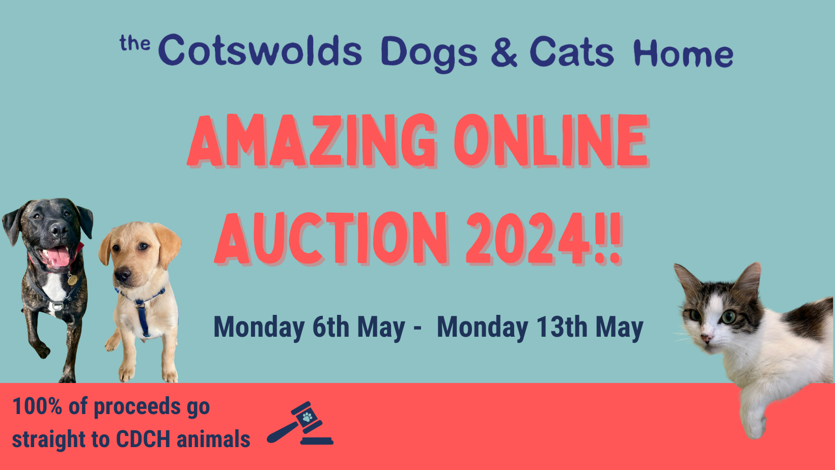 pet home online