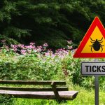 Understanding and Preventing Ticks in Your Pets