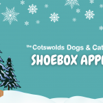 CDCH Christmas Shoebox appeal