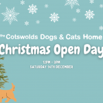 Christmas Open Day