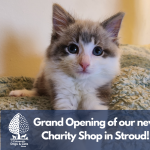 The Cotswolds Dogs & Cats Home Celebrates the Grand Opening of It's Newest Charity Shop in Stroud!