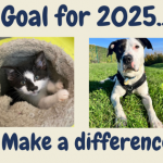 Make a difference in 2025