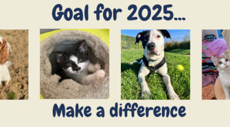 Make a difference in 2025