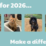 Make a difference in 2026