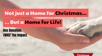 Not Just For Christmas... But A Home For Life!