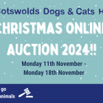 CDCH Christmas Auction