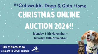 CDCH Christmas Auction