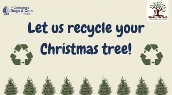Christmas Tree Recycling