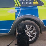 From Rescue to Hero: Prince’s Journey from CDCH to Gloucestershire Police