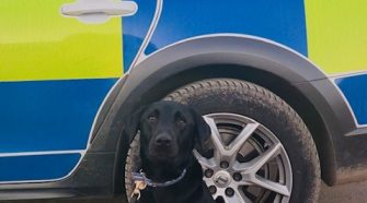 From Rescue to Hero: Prince’s Journey from CDCH to Gloucestershire Police