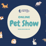 CDCH Online Pet Show