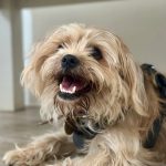 Firework Season: Choose Kindness Over Noise