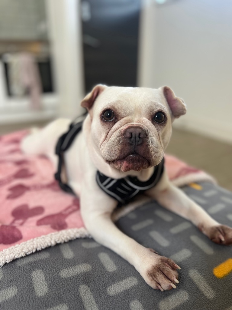 Winnie