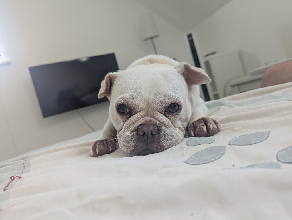Winnie