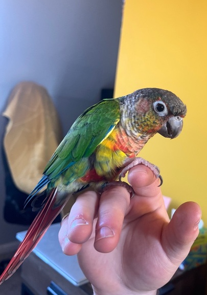 Billie