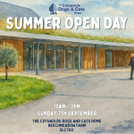 Summer Open Day