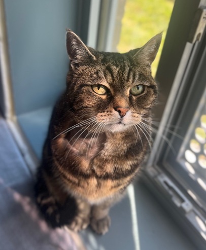 Luna