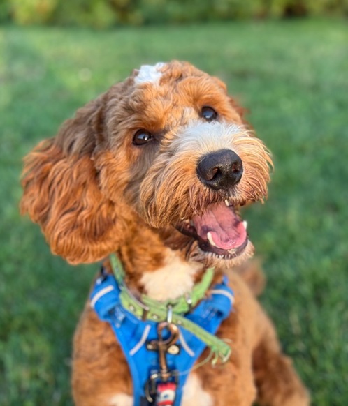 Huxley