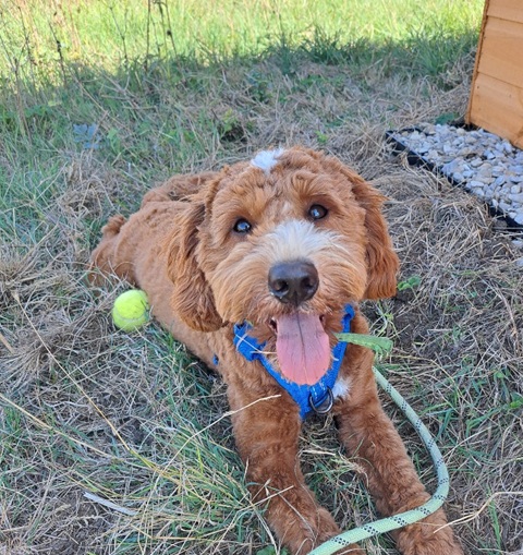 Huxley
