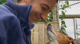 How to Prepare Your Home for a Rescue Dog