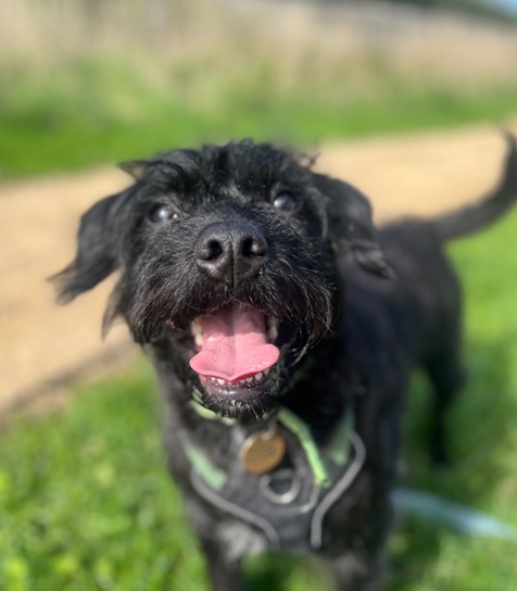 Mo