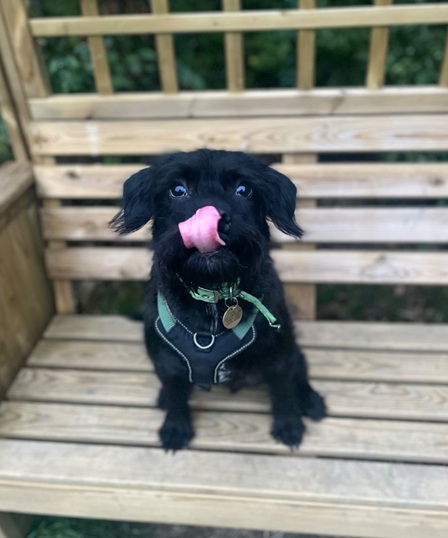 Mo
