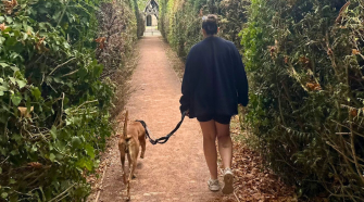 A Guide to Responsible Pet Ownership