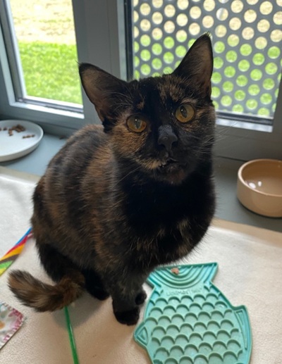 Mimi
