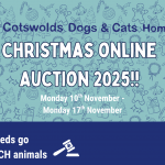 2025 Christmas Auction