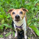 The Cost Of Giving Crisis