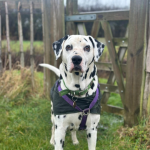 Urgent Appeal: Please Help Us Buy A New Washing Machine