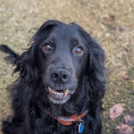 Bella’s Story: Holding On, Together