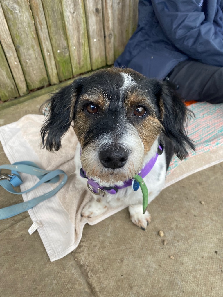 Bruce- Applications closed