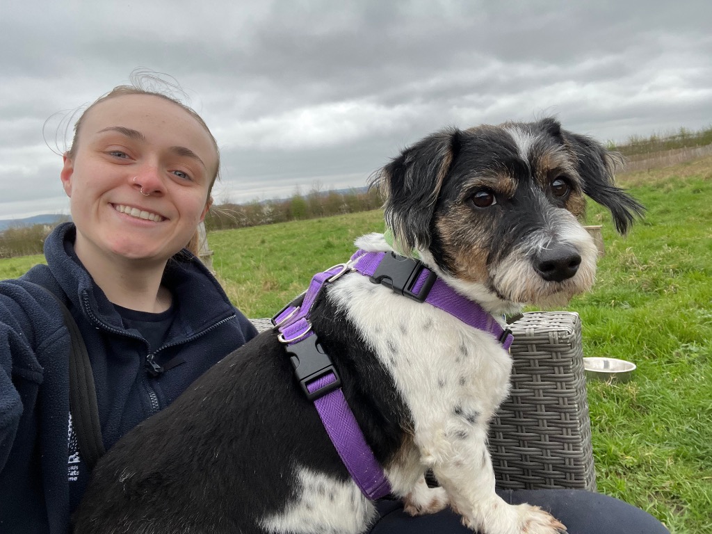 Bruce- Applications closed