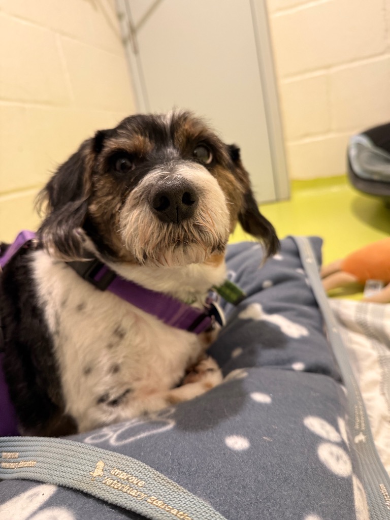 Bruce- Applications closed