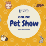 CDCH Online Pet Show