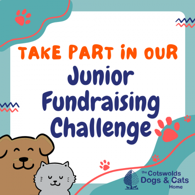 Jr Fundraising Challenge -Facebook Post