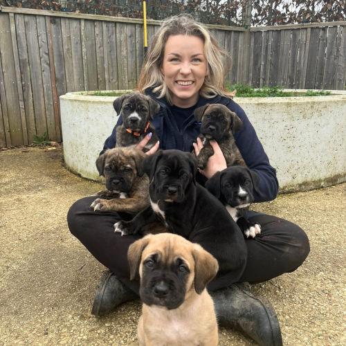 beth pups lotto