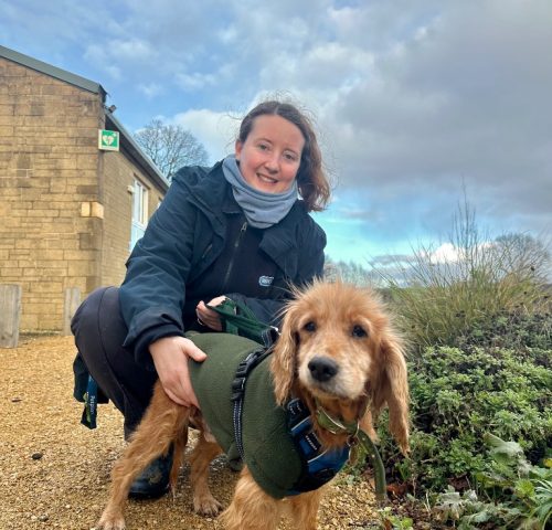 image - 2026-02-23T102336.825